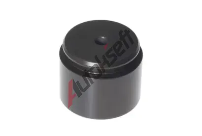 BUDWEG CALIPER P�st brzdov�ho t�menu BWC 234051, 234051