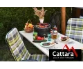 Cattara Gril stoln KEG na devn uhl CAT 13031, 13031
