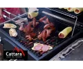 Cattara Gril na devn uhl ROYAL CLASSIC litinov rot CAT 13040, 13040