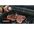 Cattara Grilovac teplomr digitln se sondou CAT 13089, 13089