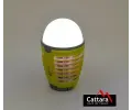 Cattara Svtilna PEAR nabjec + lapa hmyzu CAT 13180, 13180