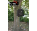 Cattara Kempingov sprcha 40 l CAT 13293, 13293