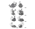 Cattara Stan BOVEC pro 2 osoby 245x145x95 cm PU5000mm CAT 13355, 13355
