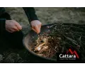 Cattara Kesadlo SPARK CAT 13738, 13738