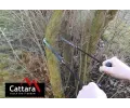 Cattara Pila etzov run 100 cm CAT 13739, 13739