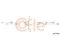 Tan lanko run pevodovky COFLE ‐ CFL 2CB.FO016