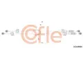 Tan lanko run pevodovky COFLE ‐ CFL 2CB.NI004