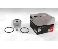 CHAMPION Palivov filtr CH CFF100131, CFF100131