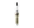 CHAMPION Zapalovac svka PLATINUM CH OE029/T10, OE029/T10
