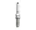 CHAMPION Zapalovac svka Platinum CT CH OE220, OE220