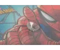 Colzani Clona sluneční na boční okno SPIDERMAN 2ks CLZ 10243, 10243