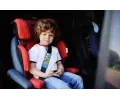 Colzani Návlek na bezpečnostní pás PAW PATROL BOY CLZ 10631, 10631