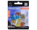 Pojistka&nbsp;Compass&nbsp;&dash;&nbsp;CMP 07522
