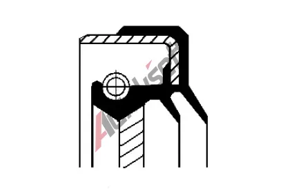 CORTECO Těsnící kroužek hřídele - diferenciál COR 01029753B, 01029753B CORTECO Těsnící kroužek hřídele - diferenciál COR 01029753B, 01029753B