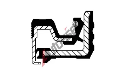 CORTECO T�sn�c� krou�ek h��dele - h��del p�evodovky COR 12018654B, 12018654B