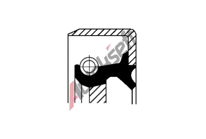 CORTECO Tsnc krouek hdele - diferencil COR 19027911B, 19027911B