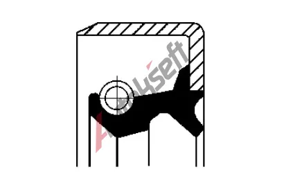 CORTECO Tsnic krouek hdele diferencilu COR 19035215B, 19035215B