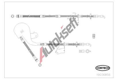 CORTECO Brzdov hadice COR 19036856, 19036856