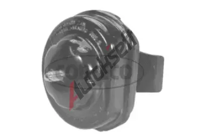 CORTECO Zaven motoru COR 21651268, 21651268