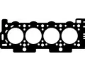 Tsnn hlavy vlce CORTECO ‐ COR 414365P