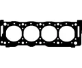 Tsnn hlavy vlce CORTECO ‐ COR 414435P