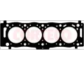 Tsnn hlavy vlce CORTECO ‐ COR 415058P