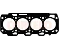 Tsnn hlavy vlce CORTECO ‐ COR 415269P