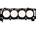 Tsnn hlavy vlce CORTECO ‐ COR 415279P
