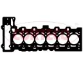 Tsnn hlavy vlce CORTECO ‐ COR 415434P