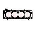 T�sn�n� hlavy v�lce&nbsp;CORTECO&nbsp;&dash;&nbsp;COR 415563P