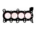 Tsnn hlavy vlce CORTECO ‐ COR 415584P