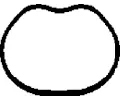 Tsnn kolena sacho potrub CORTECO ‐ COR 450136H