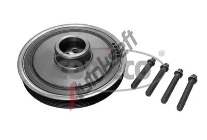 CORTECO Sada �emenice klikov� h��dele COR 49104655, 49104655