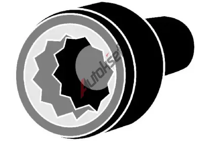 CORTECO Sada šroubů pro hlavy válců COR 49135061, 49135061 CORTECO Sada šroubů pro hlavy válců COR 49135061, 49135061