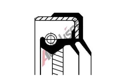 CORTECO Těsnicí kroužek hřídele rozvodovky COR 49179575, 49179575 CORTECO Těsnicí kroužek hřídele rozvodovky COR 49179575, 49179575