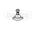 ep ramene CORTECO ‐ COR 49395678