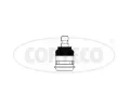 ep ramene CORTECO ‐ COR 49395701