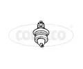 ep ramene CORTECO ‐ COR 49395858