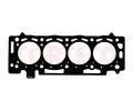 Tsnn hlavy vlce CORTECO ‐ COR 49409507