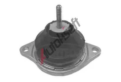 CORTECO Zaven motoru COR 80000224, 80000224