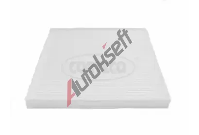 CORTECO Filtr vzduchu v interiru COR 80000652, CP1253