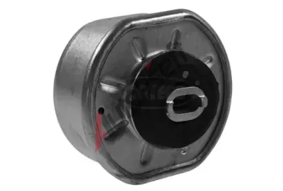CORTECO Zaven motoru COR 80001875, 80001875
