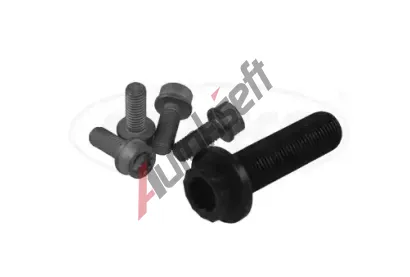 CORTECO Sada roub - emenice klikov hdel COR 80005272, 80005272