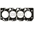 Tsnn hlavy vlce CORTECO ‐ COR 83403271