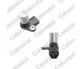 Snma polohy vakovho hdele CALORSTAT by Vernet ‐ CSV CS0062