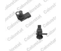 CALORSTAT by Vernet Genertor impuls klikov hdel ‐ CSV CS0251