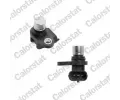 Snma polohy vakovho hdele CALORSTAT by Vernet ‐ CSV CS0311
