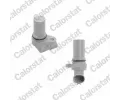 Genertor impuls klikov hdel CALORSTAT by Vernet ‐ CSV CS0312