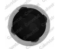 CALORSTAT by Vernet Vyrovnvac ndoba chladic kapaliny CSV ET0019C1, ET0019C1