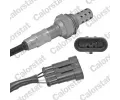 CALORSTAT by Vernet Lambda sonda ‐ CSV LS140097